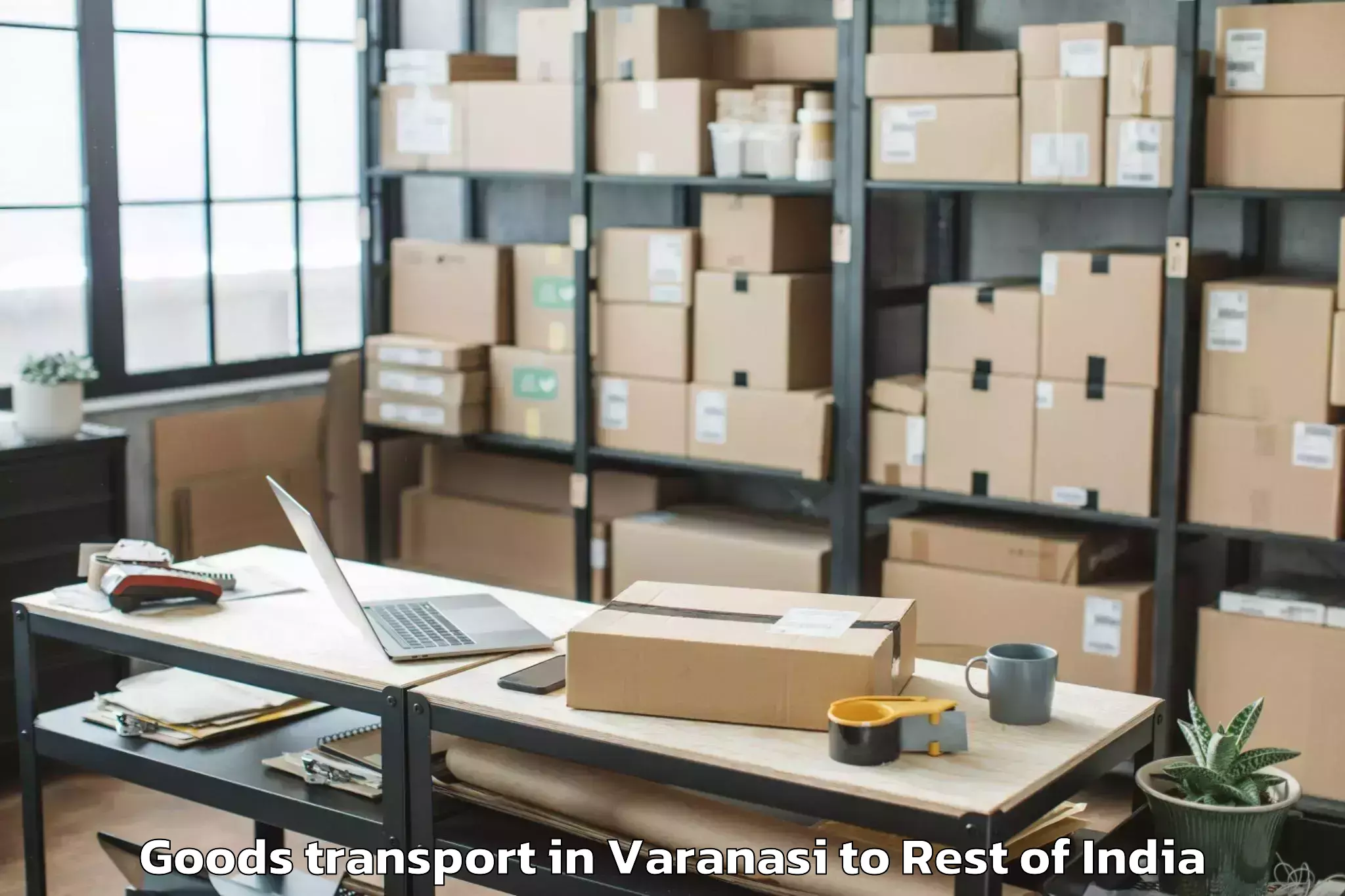 Professional Varanasi to Haldeena Goods Transport